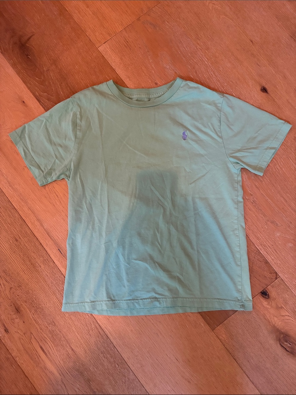 Ralph Lauren Short Sleeve Tee in Mint Green with Purple Pony